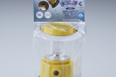 ALA-3406_5