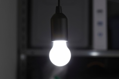 ALA-4308