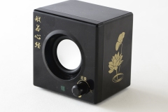 ANS-601_1