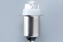 APL-1W