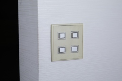 IMG-0736